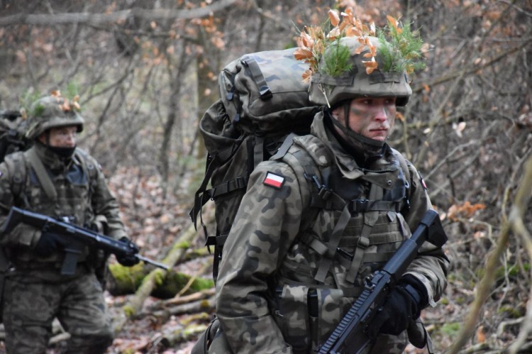 Wojska Obrony Terytorialnej wznawiają szkolenia.
