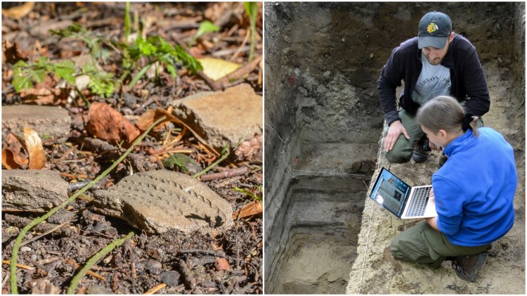 Leśnicy z Nadleśnictwa Elbląg odkryli osadę z epoki kamienia?